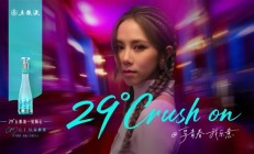 邓紫棋代言!五粮液29度白酒上市:399元主打年轻人 !