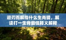 迎刃而解指什么生肖猜，解读打一生肖最佳释义解释