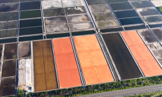 近1000亩!山东现巨型眼影盘:画面震撼 已有60余年历史 !