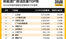 中国新能源汽车活跃量TOP 10出炉：特斯拉第三 吉利银河最猛