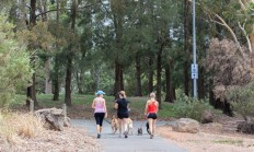 狗权至上！澳大利亚堪培拉立法：狗主人必须每天陪伴狗3个小时