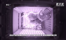 鼠鼠我啊上太空啦：小鼠“航天员”上太空科普及镜头公布
