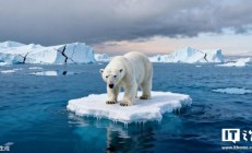 联合国秘书长古特雷斯：过去十年是有记录以来最热的十年