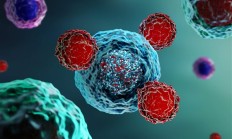 
        		58岁渔民被海鲜刺伤身亡：感染创伤弧菌 !	