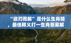 “迎刃而解”是什么生肖猜，最佳释义打一生肖答案解释!