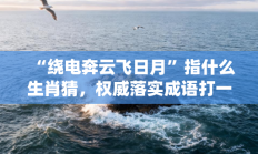 “绕电奔云飞日月”指什么生肖猜，权威落实成语打一生肖解释