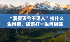 “洞寂灭兮不见人”指什么生肖猜，成语打一生肖揭晓落实答案