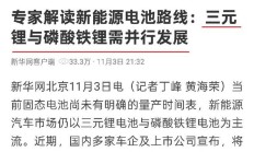 新华网发声：三元锂和磷酸铁锂共同发展！