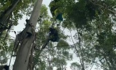 女子学滑翔伞 起飞十几秒突然坠落 大树救一命