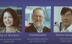 
        		2025年诺贝尔生理学或医学奖公布！三位科学家获奖 奖励832万元 !	