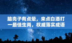 脑壳子有点晕，来点白酒打一最佳生肖，权威落实成语打一生肖解释