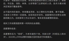 西宁动物园通报一雪豹逃匿 名为“闹闹” 年龄约相当人类80岁 !