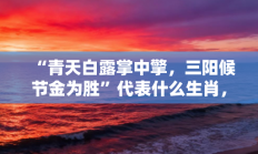 “青天白露掌中擎，三阳候节金为胜”代表什么生肖，精准精选打一生肖解释落实