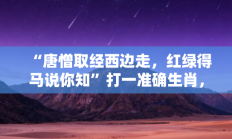 “唐憎取经西边走，红绿得马说你知”打一准确生肖，权威落实成语打一生肖解释