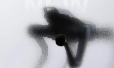 宇树四足机器人新品官宣,动力性能 ≈ 2×Go2