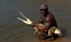 网红徒手抓鳄鱼被痛批“虐待动物”:最多可被罚12.25万元 !