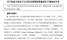 投资2个亿！滕州这家公司计划在泰国建设生产基地